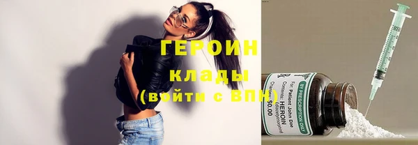 индика Богородицк