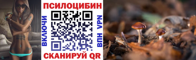 Галлюциногенные грибы MAGIC MUSHROOMS  Минеральные Воды 