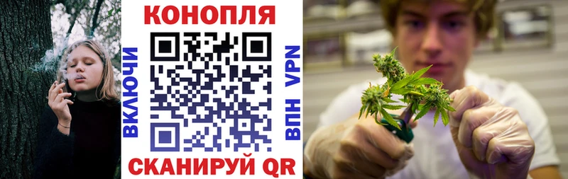 Канабис марихуана Минеральные Воды